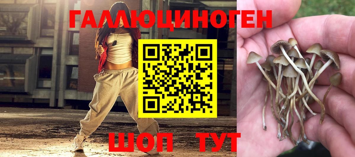 Псилоцибиновые грибы GOLDEN TEACHER Тольятти
